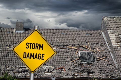 common types of storm damage