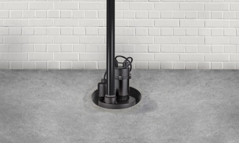 insurance endorsements for a sump pump