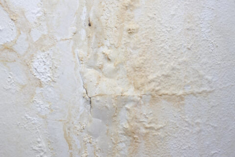 water damage in plaster walls vs. drywall