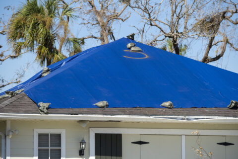 what to do after roof damage