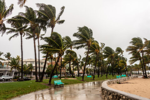 hurricane storm damage