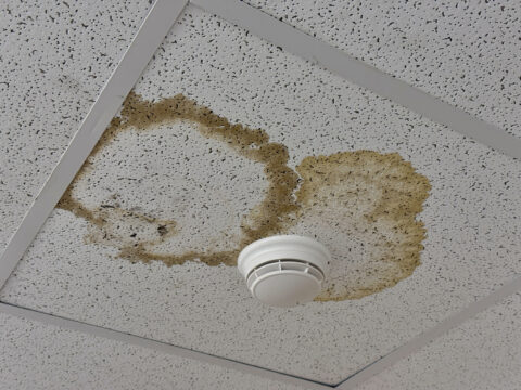 water leak in ceiling 
